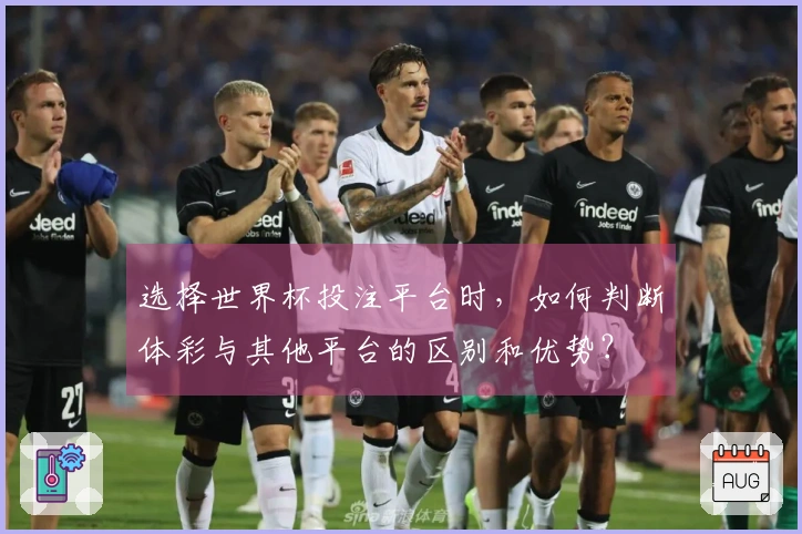 选择世界杯投注平台时，如何判断体彩与其他平台的区别和优势？