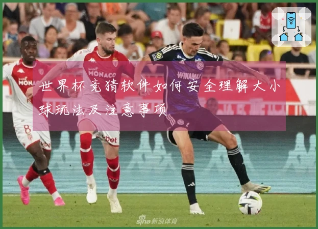 世界杯竞猜软件如何安全理解大小球玩法及注意事项