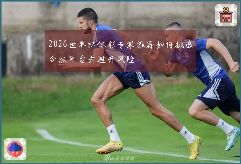 2026世界杯体彩专家推荐如何挑选合法平台并避开风险