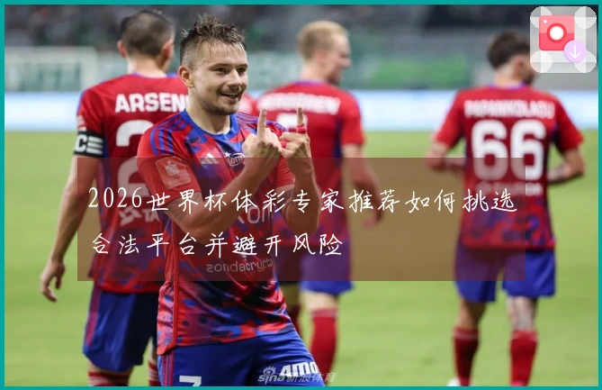 2026世界杯体彩专家推荐如何挑选合法平台并避开风险